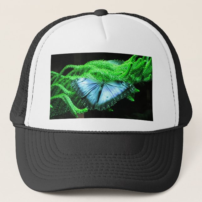 Casquette Respiration Prendre Iridescente Bleu Papillon (Devant)