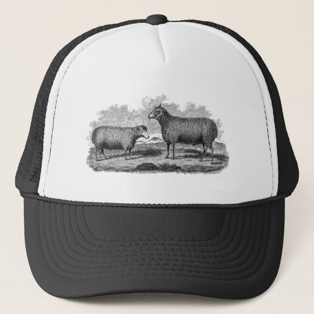 Casquette Rétro ferme de 1800s de moutons d'illustration (Devant)