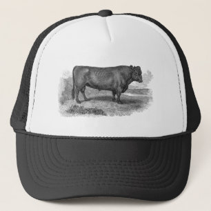 Casquette Rétros taureaux de vache de 1800s à illustration