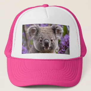 Casquette "Rêver dans le violet : Un Koala dans un arbre Jac