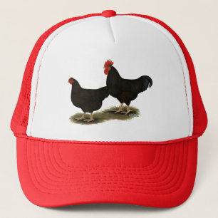Casquette Rhode Island Red Bantams
