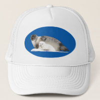 Ringed Seal