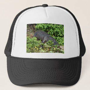 Casquette Rivière Silver Alligator