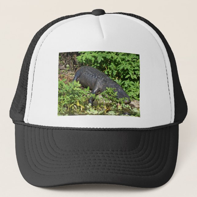 Casquette Rivière Silver Alligator (Devant)