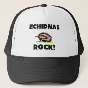 Casquette Roche d'Echidnas