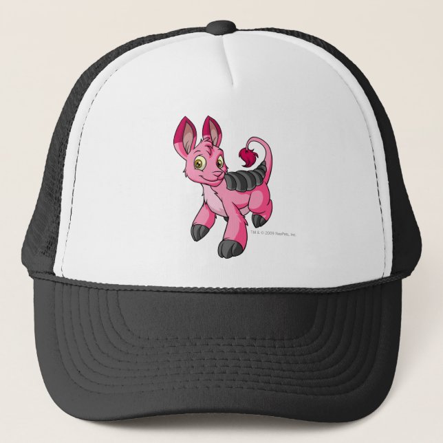 Casquette Rose de Bori (Devant)