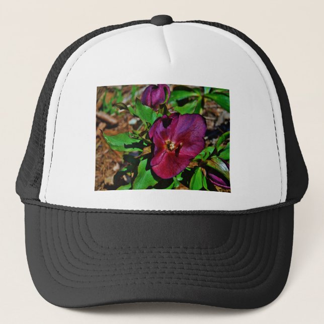Casquette Rose de carême rose Bourgogne (Devant)
