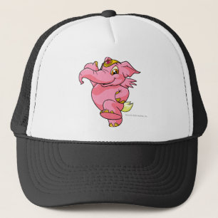 Casquette Rose d'Elephante