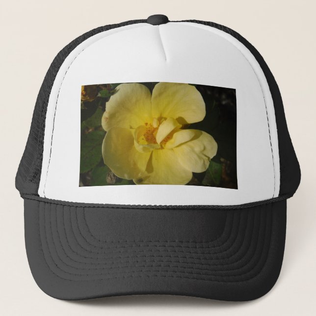 Casquette Rose jaune sauvage (Devant)