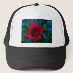 Casquette Roses rouges aux tons bleus