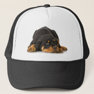 Casquette Rottweiler