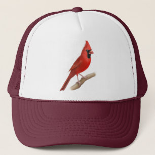 Casquette rouge cardinal masculin de maille