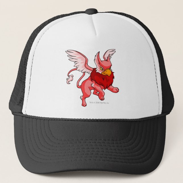 Casquette Rouge d'aire (Devant)