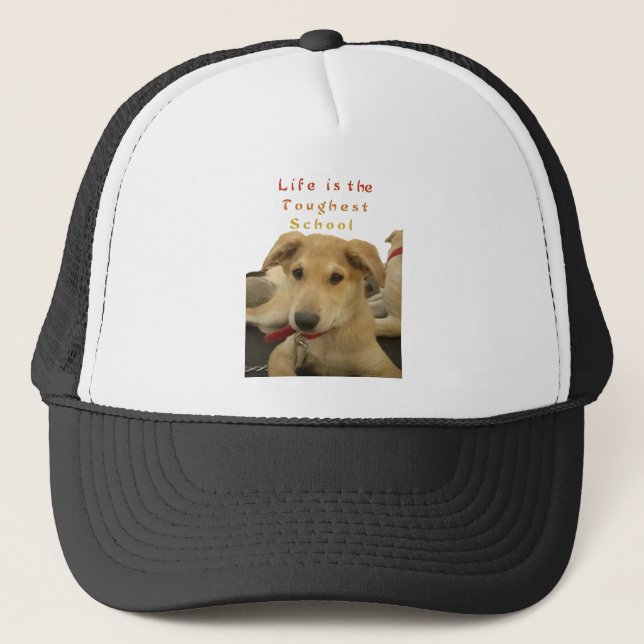 Casquette Sagesse d'or : Une vision oeil de chien de l'école (Devant)