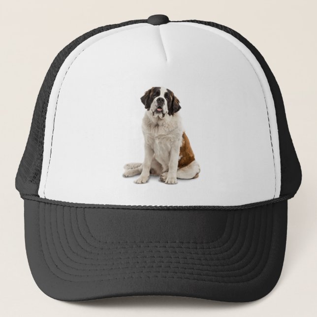 Casquette Saint Bernard Chien animal animal animal de compag (Devant)