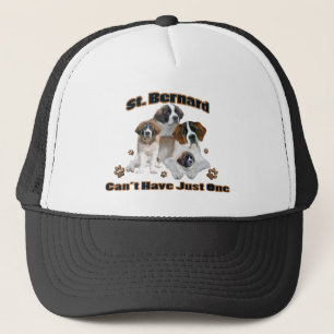 Casquette Saint Bernard ne peut pas avoir un seul vêtement