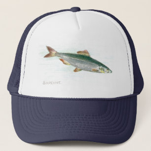 Casquette Sardine