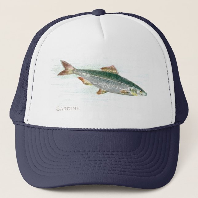 Casquette Sardine (Devant)