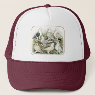 Casquette Satinettes de pigeons de frill classique