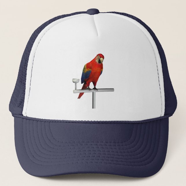 Casquette Scarlet Macaw (Devant)