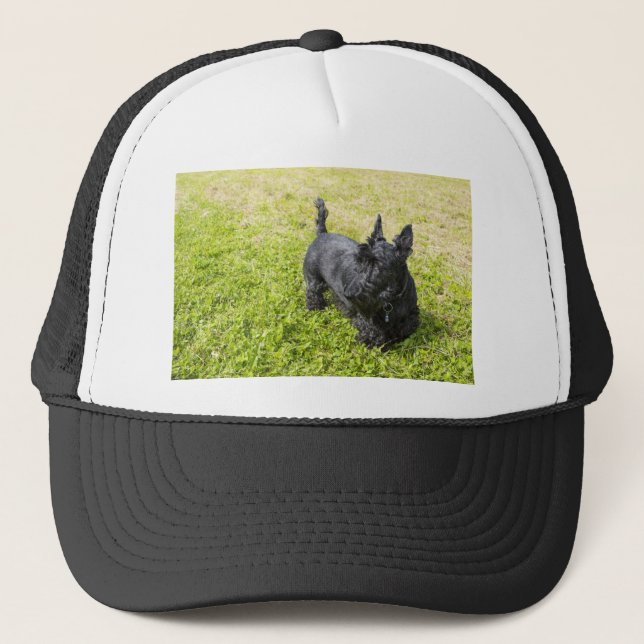 Casquette Scottish Terrier (Devant)