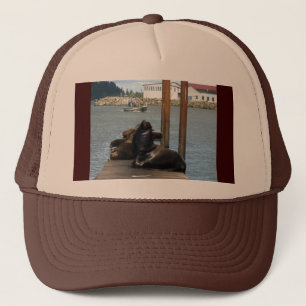 Casquette Sealions Astoria Oregon