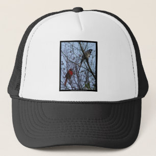 Casquette Sentinelles Geai bleu et Cardinal par Lee Hiller