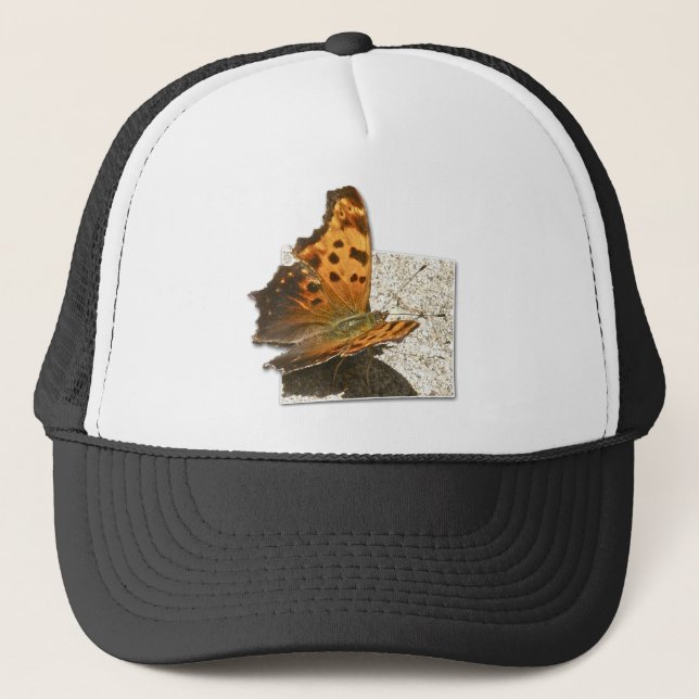 Casquette Série des papillons Angle Wing (Devant)
