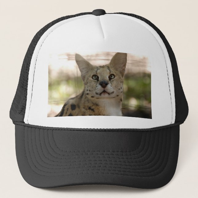 Casquette serval 017 (Devant)