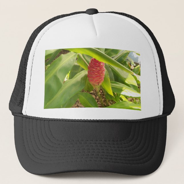 Casquette Shampoo fleur de gingembre (Devant)