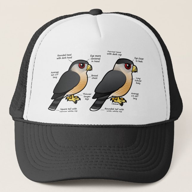 Casquette Sharpie de la cage v (Devant)