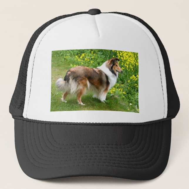 Casquette Sheltie Shetland Sheepdog Peinture (Devant)