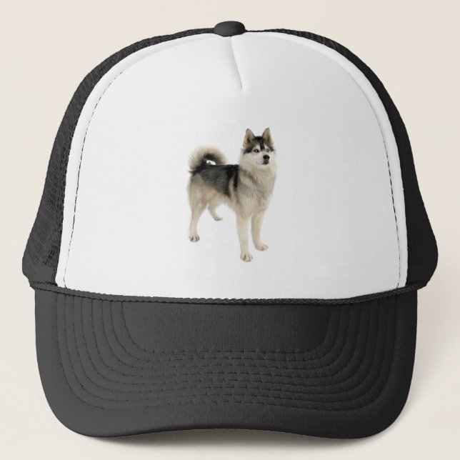 Casquette Sibérie Husky Chien animal animal de compagnie per (Devant)