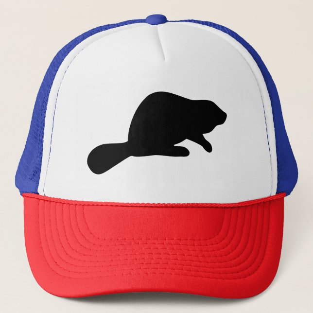 Casquette Silhouette beaver (Devant)