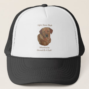 Casquette slogan amusant pour le portrait de chien du labrad