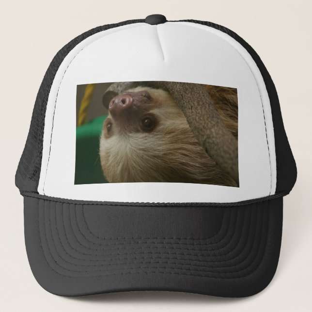Casquette Sloth (Devant)