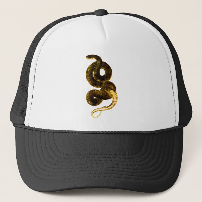 Casquette snake (Devant)