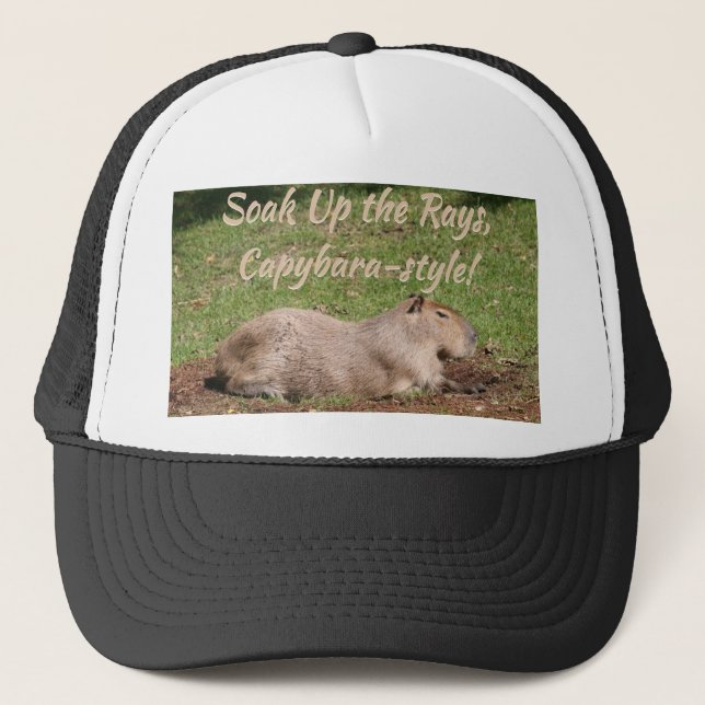 Casquette Soak Up the Rays, à la Capybara ! (Devant)
