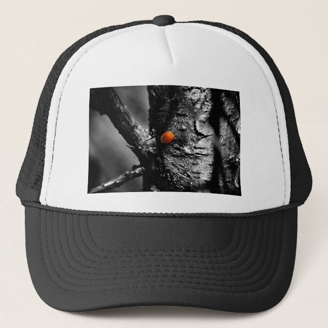 Casquette sourire pour une coccinelle (Devant)