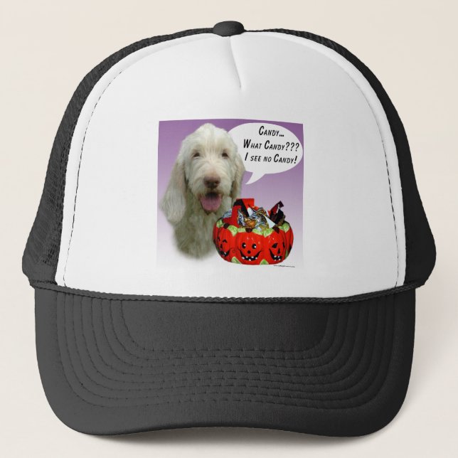 Casquette Spinone Italiano Halloween Candy (Devant)