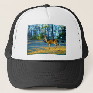 Casquette Stade / Buck Deer, Ciel bleu clair