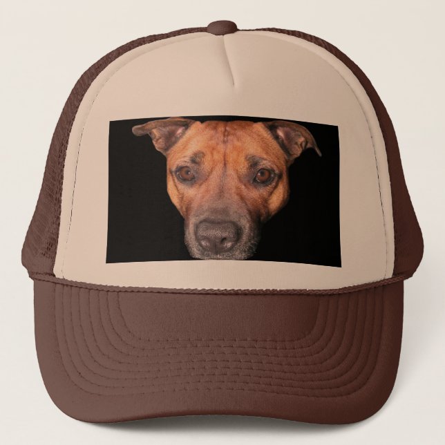 Casquette Staffordshire Bull Terrier Face (Devant)
