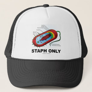 Casquette Staphylocoque seulement (humour de médecine de