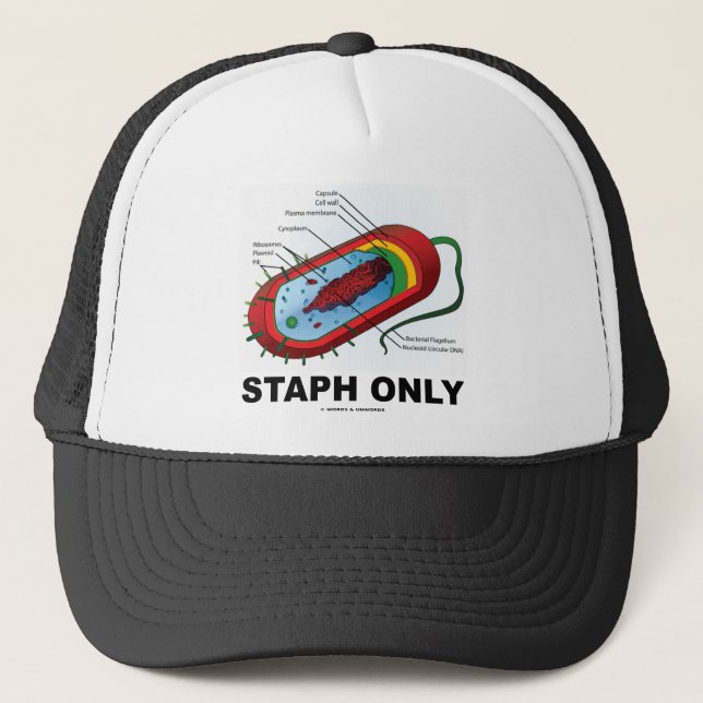 Casquette Staphylocoque seulement (humour de médecine de (Devant)