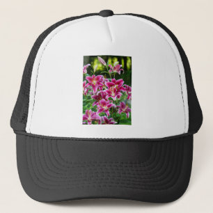 Casquette Stargazer Lilies