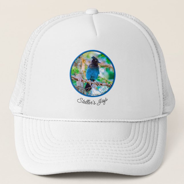 Casquette Steller's Jay - Photographie originale (Devant)