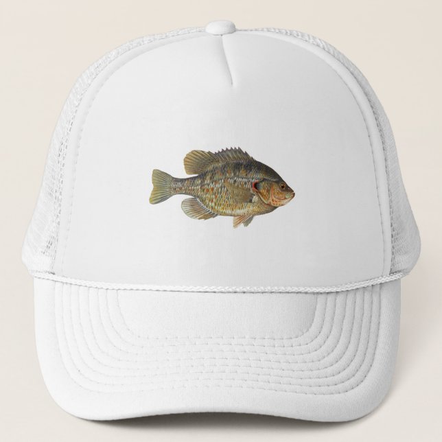 Casquette Sunfish de Redear - Shellcracker (Devant)