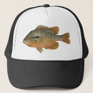 Casquette Sunfish de rouge-gorge - auritus de Lepomis