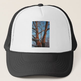 Casquette Sunrise Sycamore