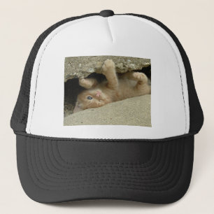 Casquette Super Hero Orange Tabby Kitten